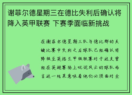 谢菲尔德星期三在德比失利后确认将降入英甲联赛 下赛季面临新挑战